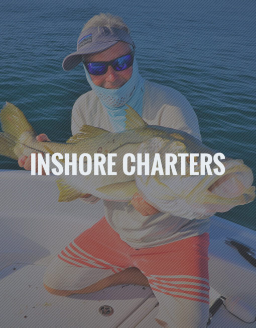 Inshore Fishing Charters