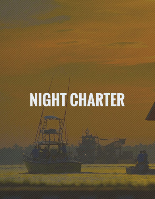 Night Fishing Charter